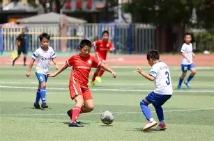 哈兰德表白,正是他激励,连饮食都效,立博体育官网,立博体育直播,体育赛事直播,足球直播