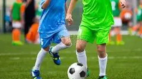 立博体育 产品 013634 75l