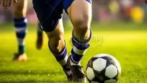 立博体育 产品 013721 yr2