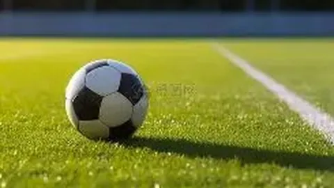 立博体育 产品 102103 dor