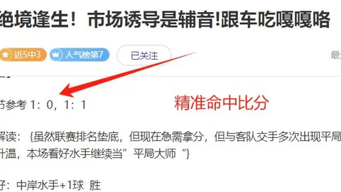 波鸿主场优势分析，期号专家质合推荐解读